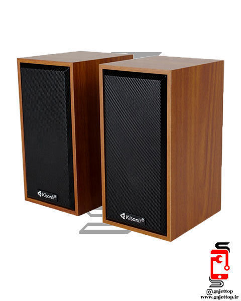 اسپیکر-دو تکه-دسکتاپ-کیسونلی-مدل-T-002A